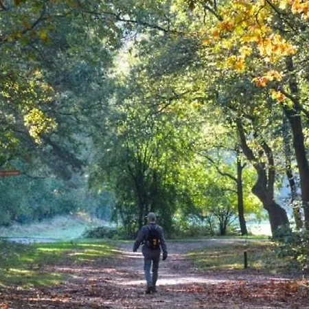 Chalet Bosrijk Austerpark 4 Putten