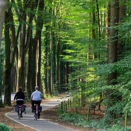 Bosrijk Austerpark 4 Putten